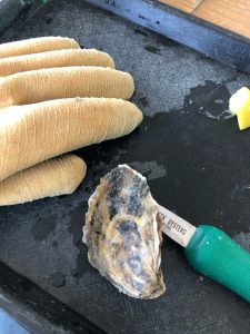 Connecticut Old Saybrook Little Creek Oysters photo 5