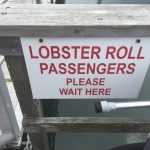 Massachusetts Hyannis Lobster Roll Cruises photo 1