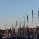 California San Francisco Seafood Peddler photo 1