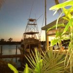 Florida Sarasota Casey Key Fish House photo 1