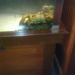 Illinois Calumet City Red Lobster photo 1