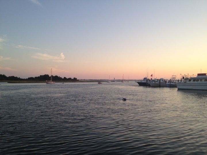 North Carolina Morehead City Captain Bill's photo 3