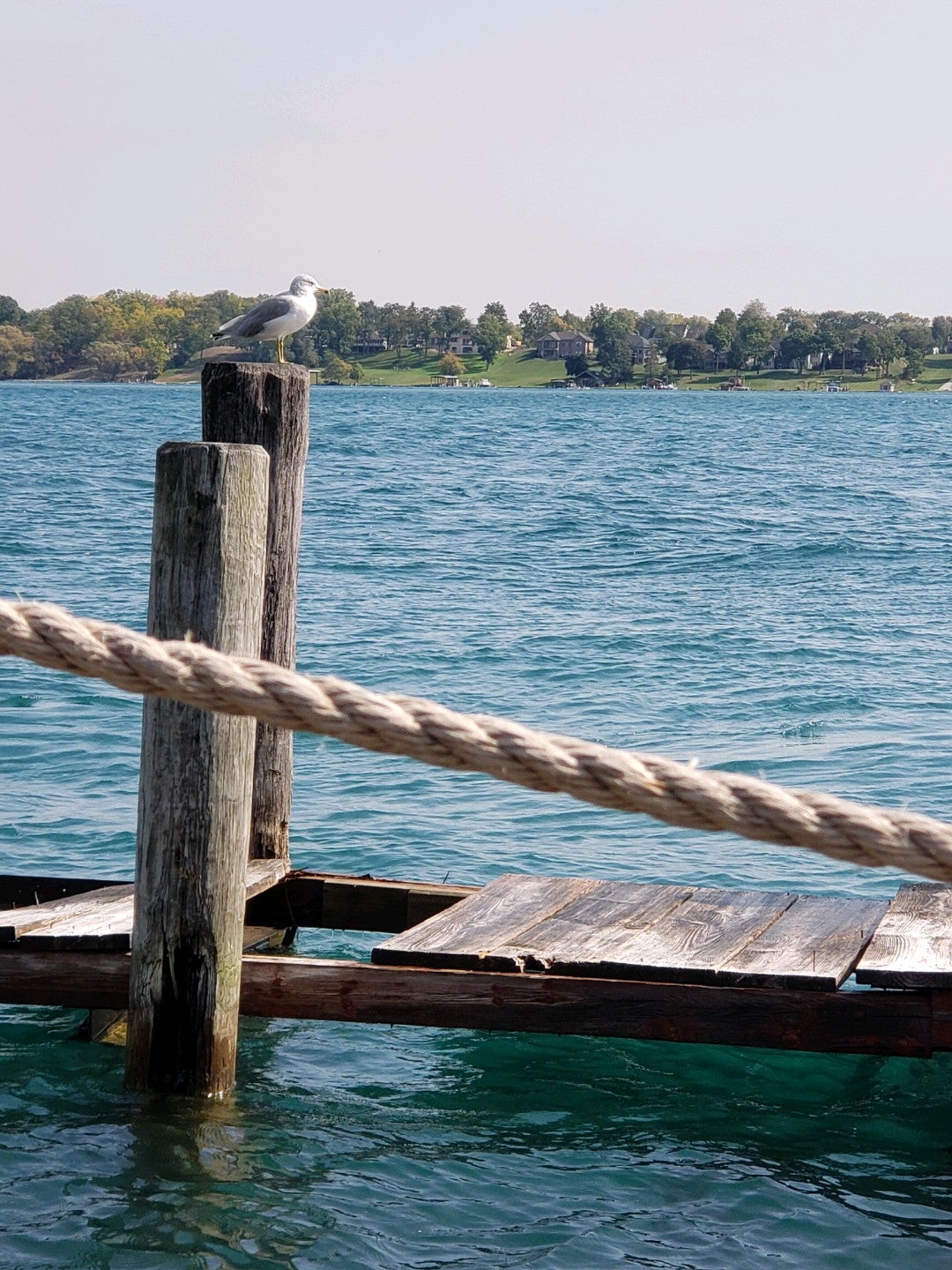 Michigan Port Huron River Crab Blue Water Inn photo 3