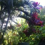 Hawaii Waimea Keoki's Paradise photo 1