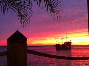 Florida Clearwater Jimmy's Fish House & Iguana Bar photo 5