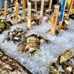 Maine Portland Eventide Oyster Co photo 1