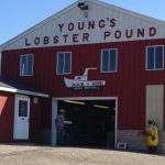 Maine Belfast Young's Lobster Shore Pound photo 1