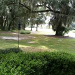 South Carolina Beaufort Cat Island Grill & Pub photo 1