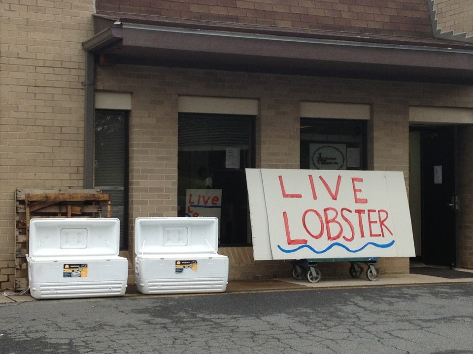 Virginia Fairfax Lobster Maine-IA photo 3