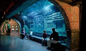 Texas Pasadena Aquarium Restaurant photo 7