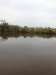 Texas Beaumont peggy's on the bayou Cajun cafe photo 7