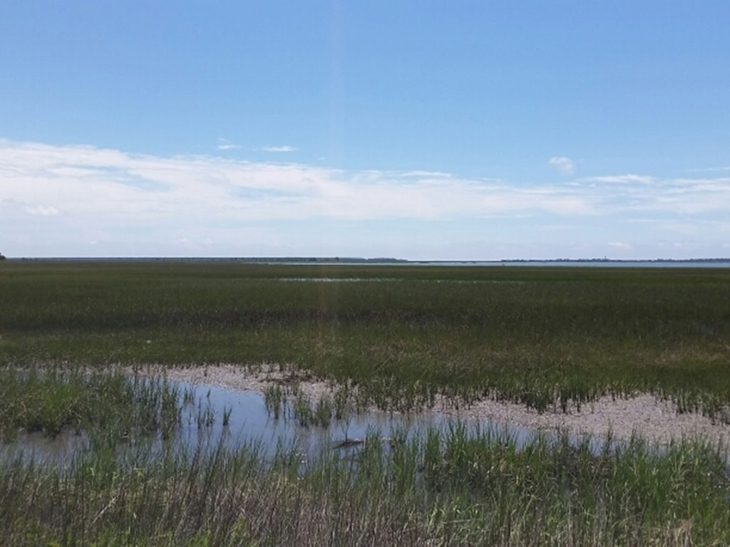 South Carolina Charleston Mt Pleasant Seafood photo 7