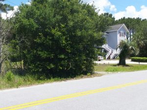 South Carolina Charleston Mt Pleasant Seafood photo 5