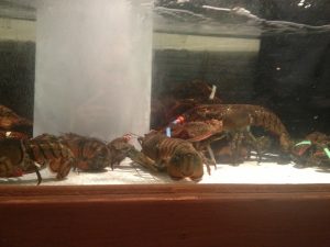 Oregon Medford Red Lobster photo 7