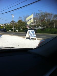 New Jersey Manahawkin Blue Claw Seafood Market photo 7