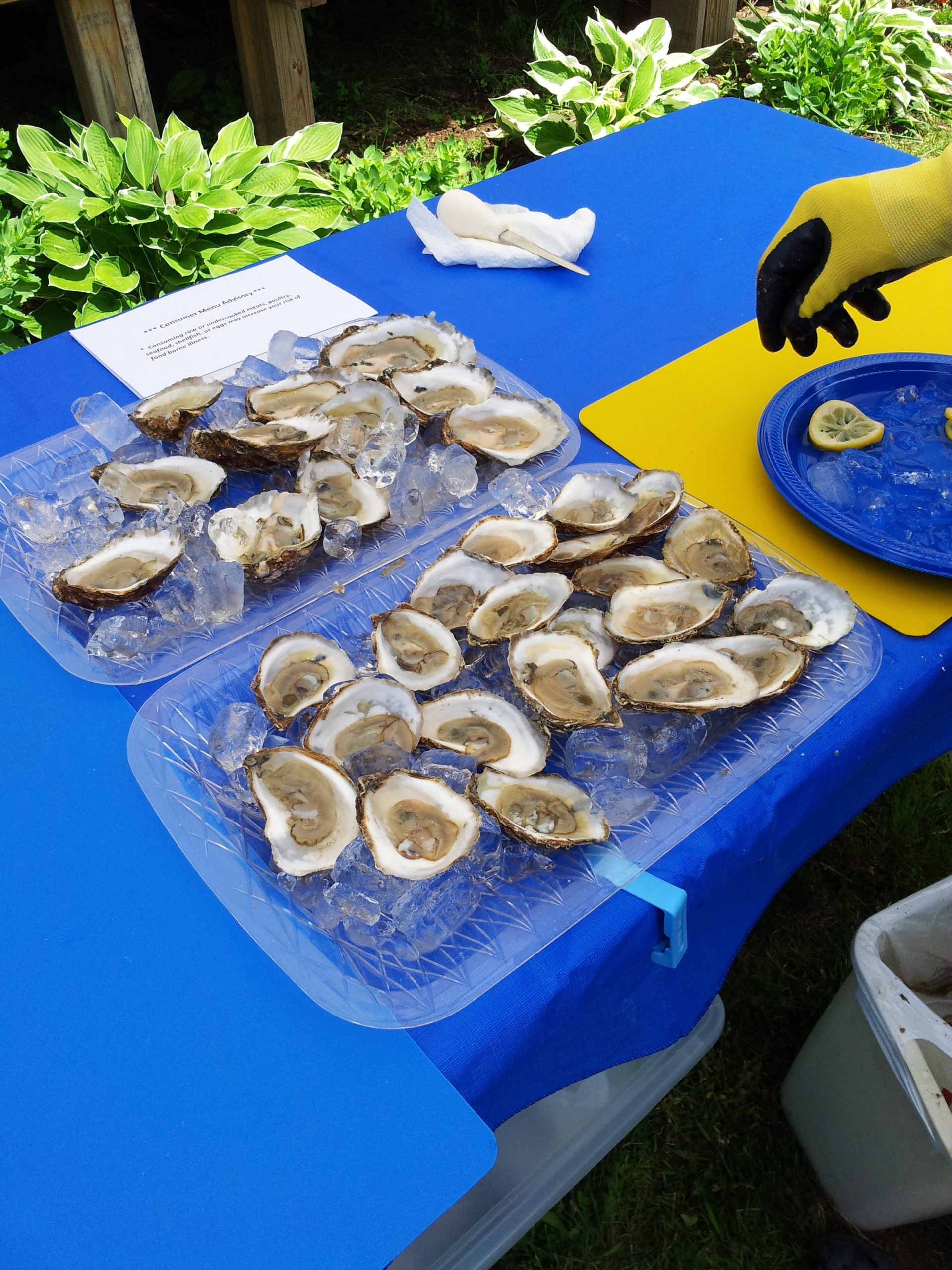 New York Riverhead Long Island Oyster Company photo 7