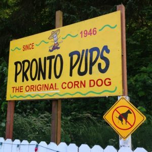 Oregon Lincoln City Salmon River Pronto Pup photo 7