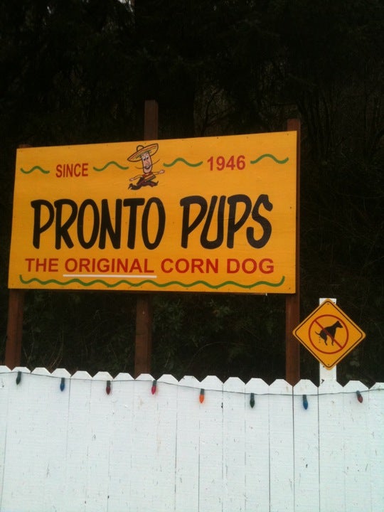 Oregon Lincoln City Salmon River Pronto Pup photo 5