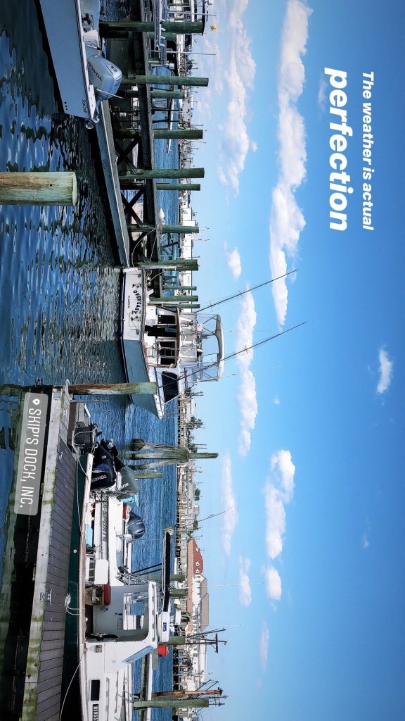 Rhode Island Hope Valley Skip's Dock: Seafood Market photo 3