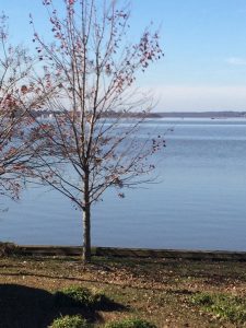 Virginia Petersburg Dockside Restaurant photo 5