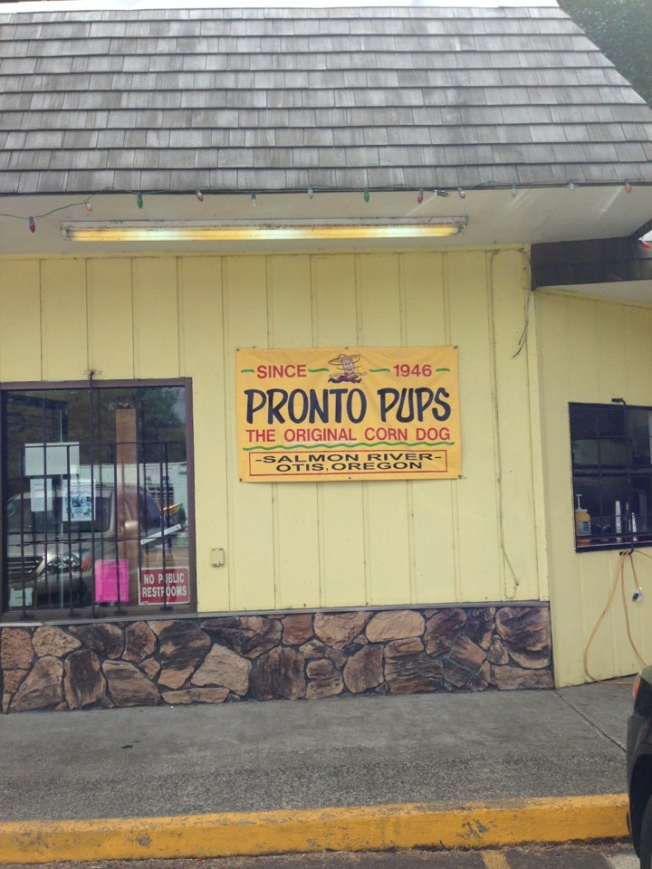 Oregon Lincoln City Salmon River Pronto Pup photo 3