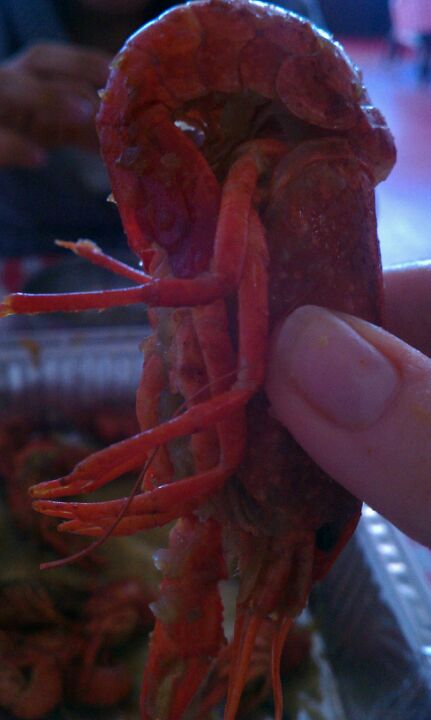 Texas Houston Louisiana Cajun Crawfish photo 3