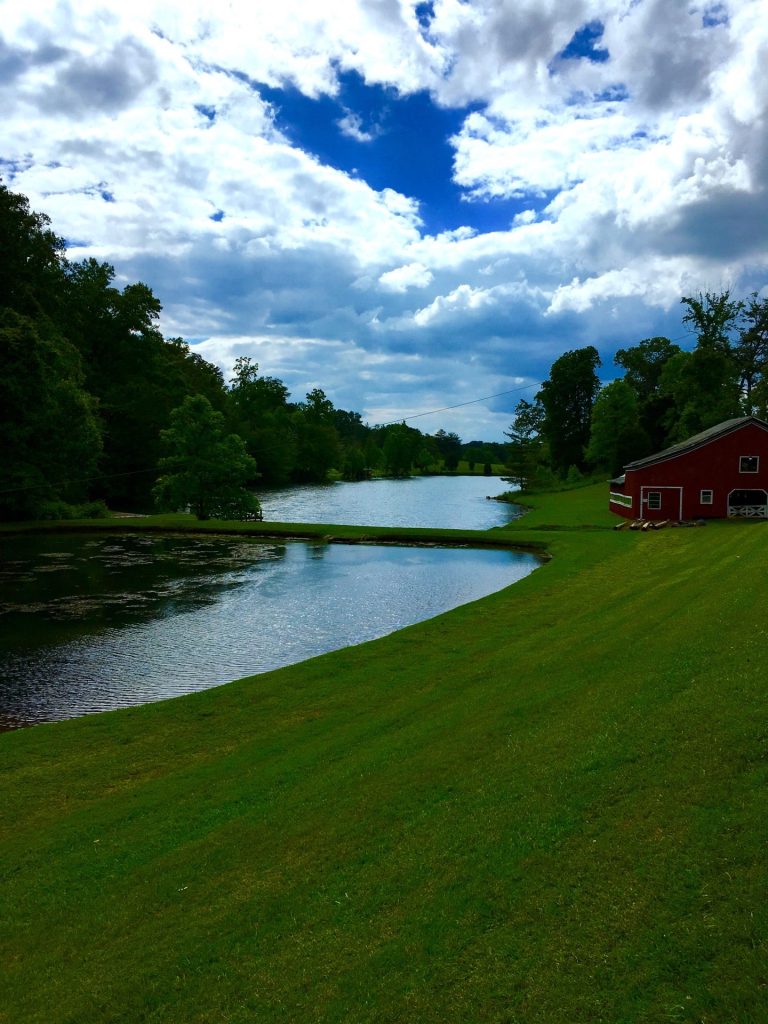 Tennessee Maryville Allison Catfish Farm & Restaurant photo 3