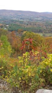 Vermont Bennington Golden Eagle Restaurant photo 7