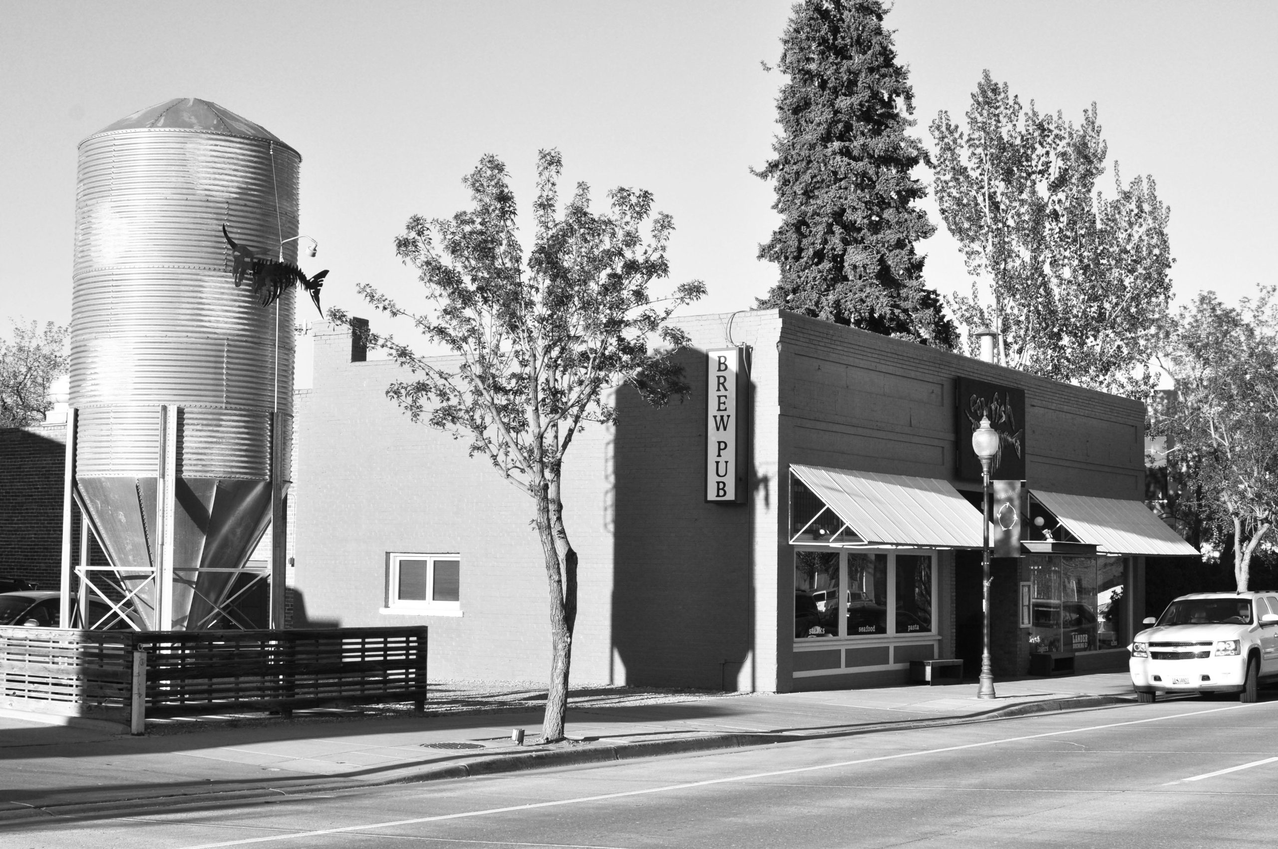 Wyoming Lander Cowfish photo 5