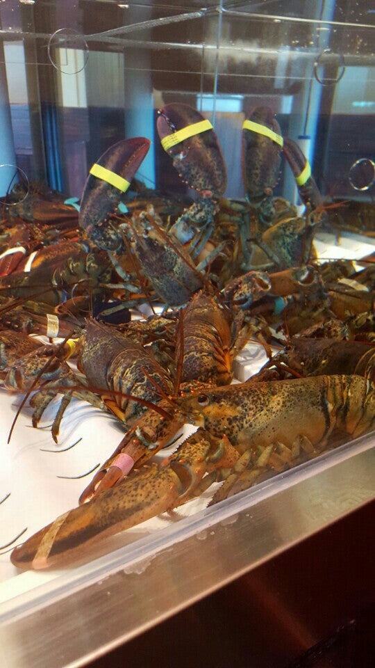 Wyoming Laramie Red Lobster photo 5