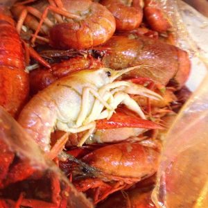 Texas Houston LA Crawfish photo 5