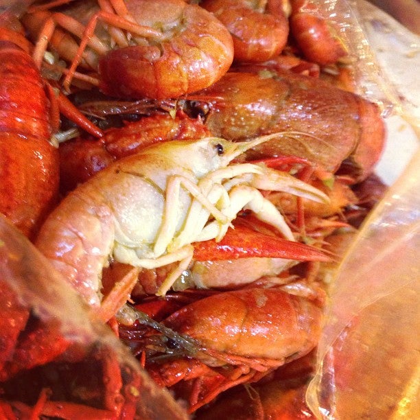 Texas Houston LA Crawfish photo 5