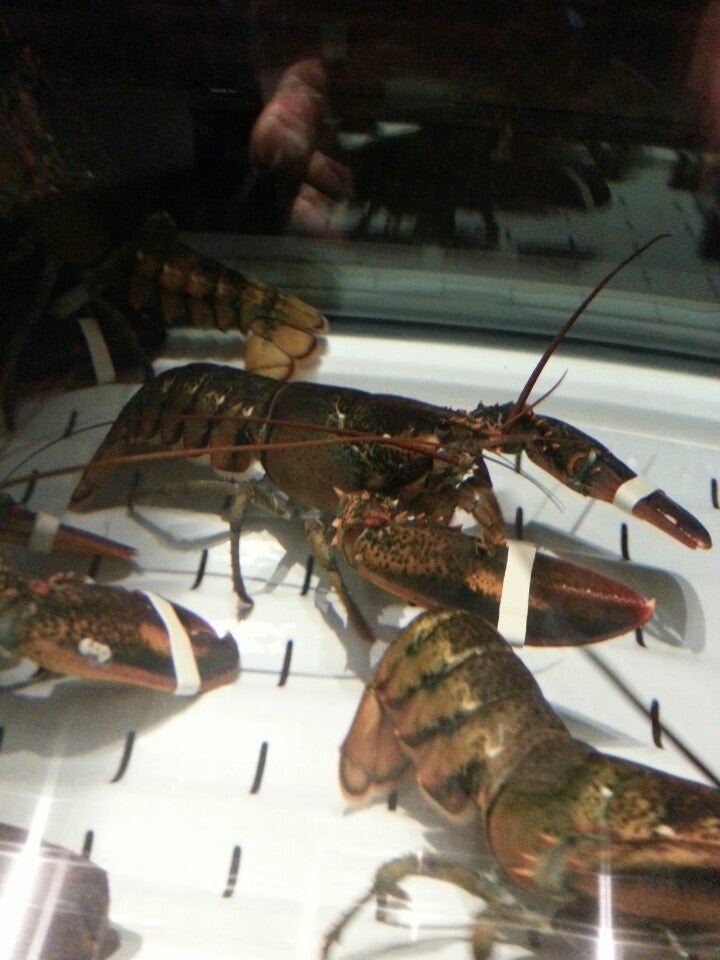 Wyoming Laramie Red Lobster photo 3