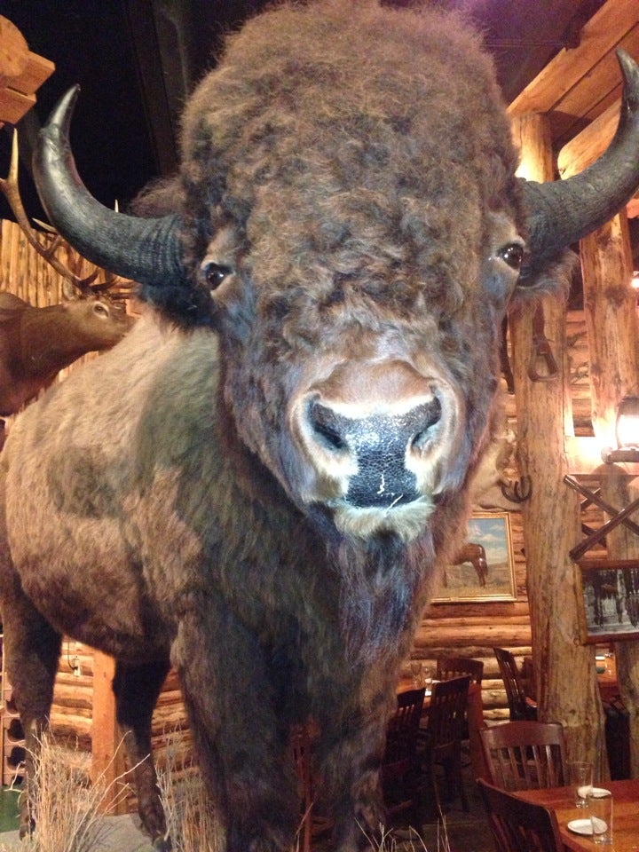 Wyoming Jackson Hole Gun Barrel Steak & Game House photo 3