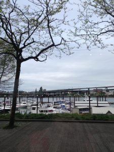 Oregon Portland McCormick & Schmick's Harborside at the Marina photo 7