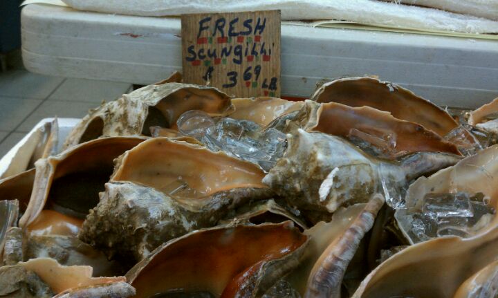 New Jersey Hackensack Randazzo's Seafood photo 3