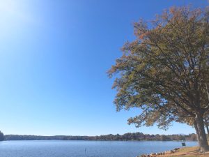 South Carolina Greer Lake Bowen Fish Camp photo 7