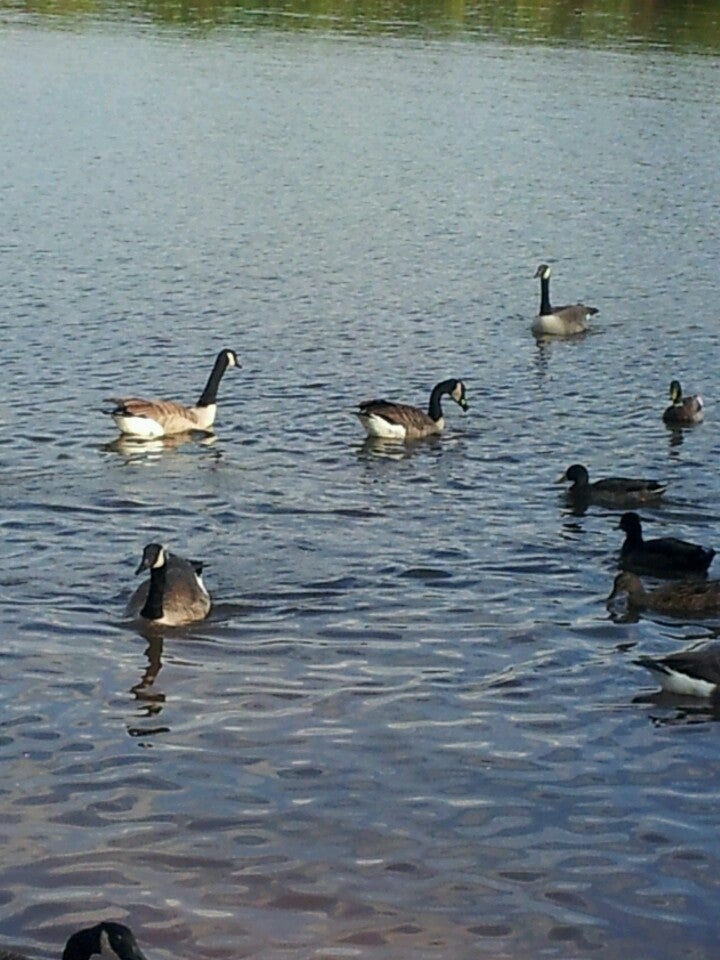 South Carolina Greer Lake Bowen Fish Camp photo 3