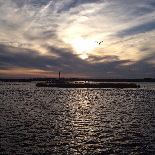 Virginia Virginia Beach The Back Deck photo 3