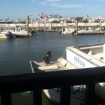 New Jersey Egg Harbor Township Carmen's Seafood Restaurant photo 1