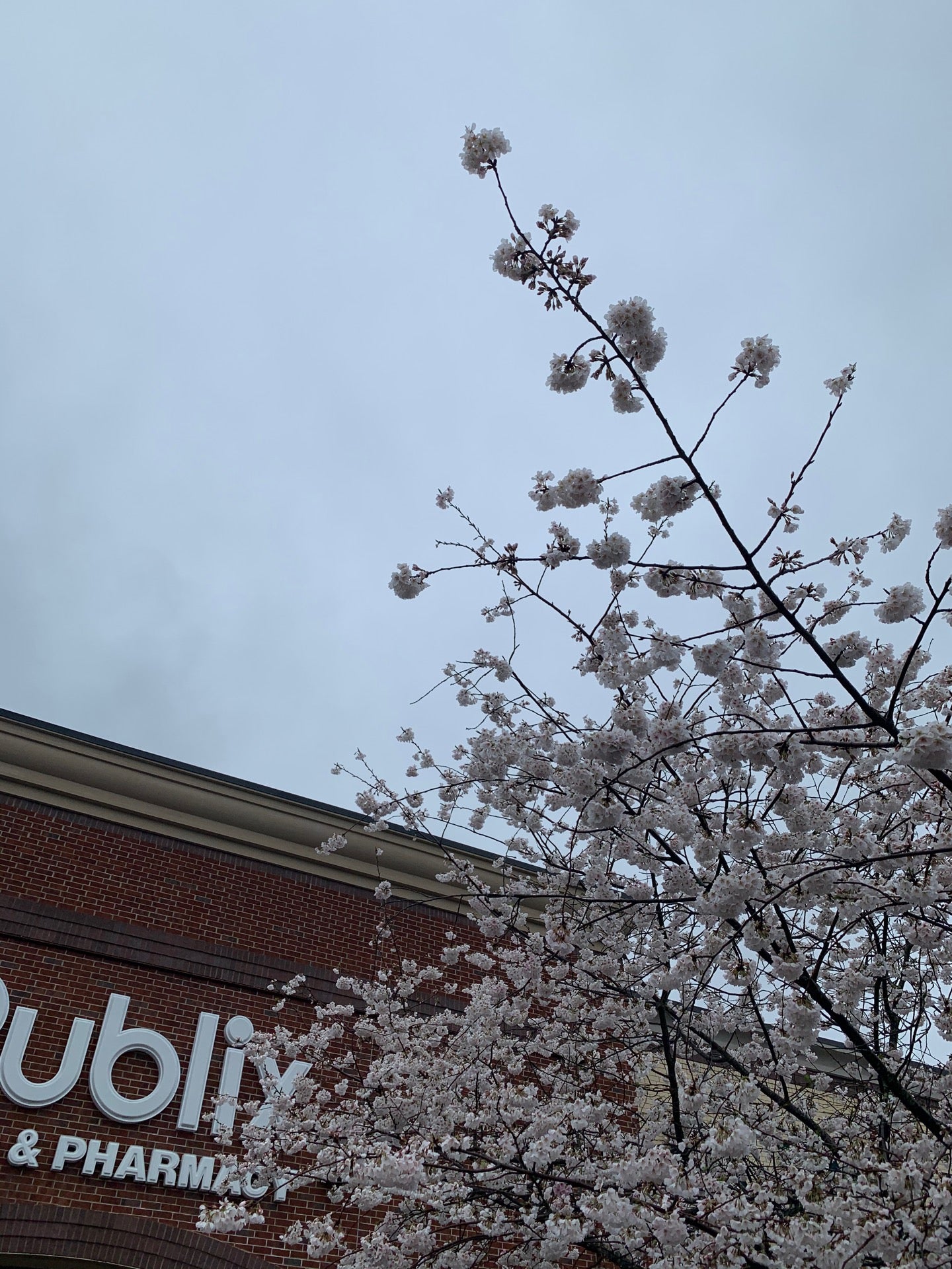 Tennessee Franklin Publix Super Market at McKays Mill Village Center photo 3