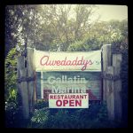 Tennessee Lebanon Awedaddys Bar & Grill photo 1