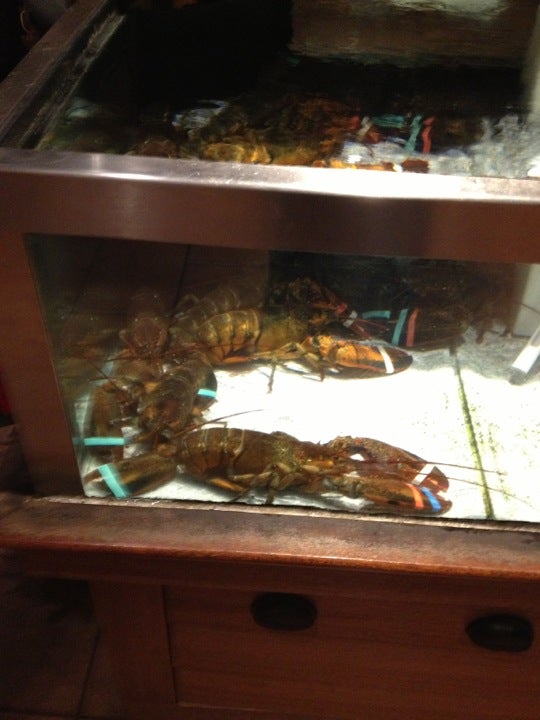 Texas Pasadena Red Lobster photo 3