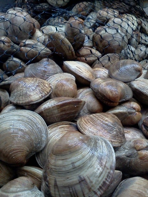 South Carolina Murrells Inlet Harrelson's Seafood Market photo 3