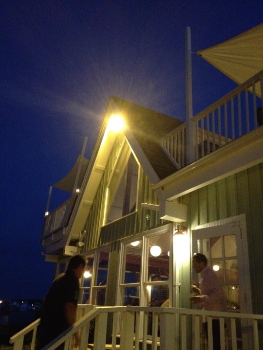 New York Riverhead Cowfish photo 3