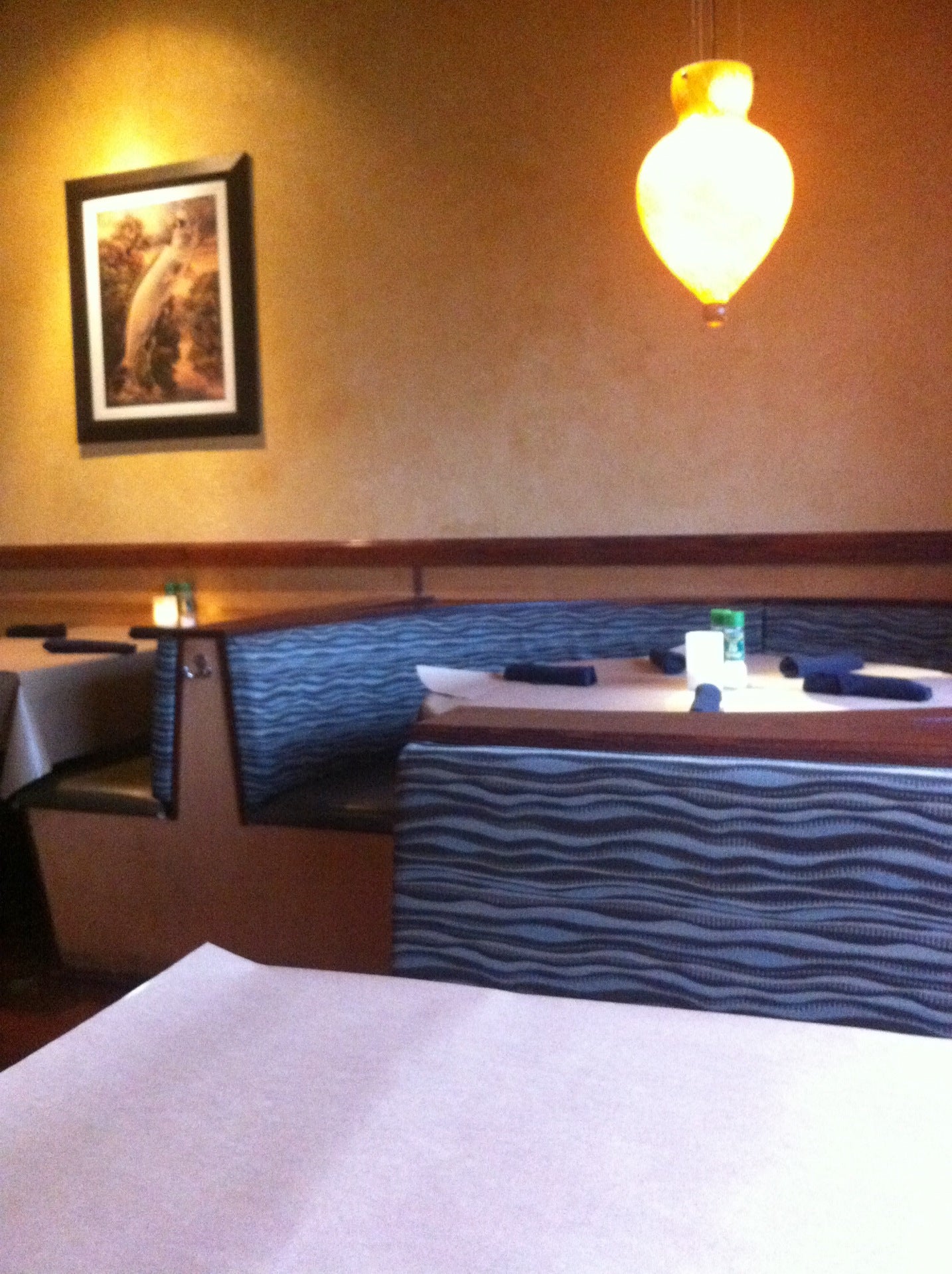 Texas Arlington Bonefish Grill photo 3